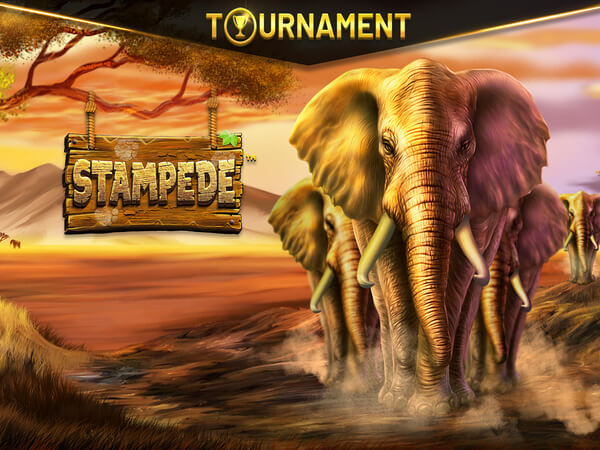 Sportingbet casino app